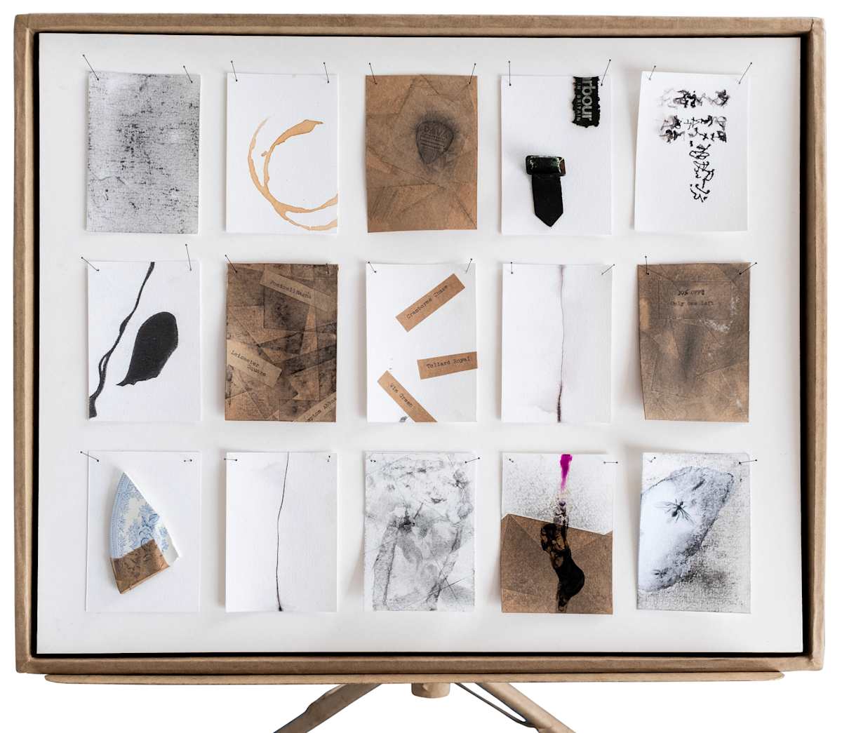 Field Notes by Richard Gregory, Image 1.