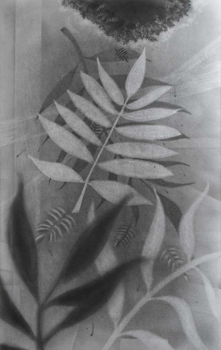 Matter VI: Gift by Richard Gregory, Image 1.