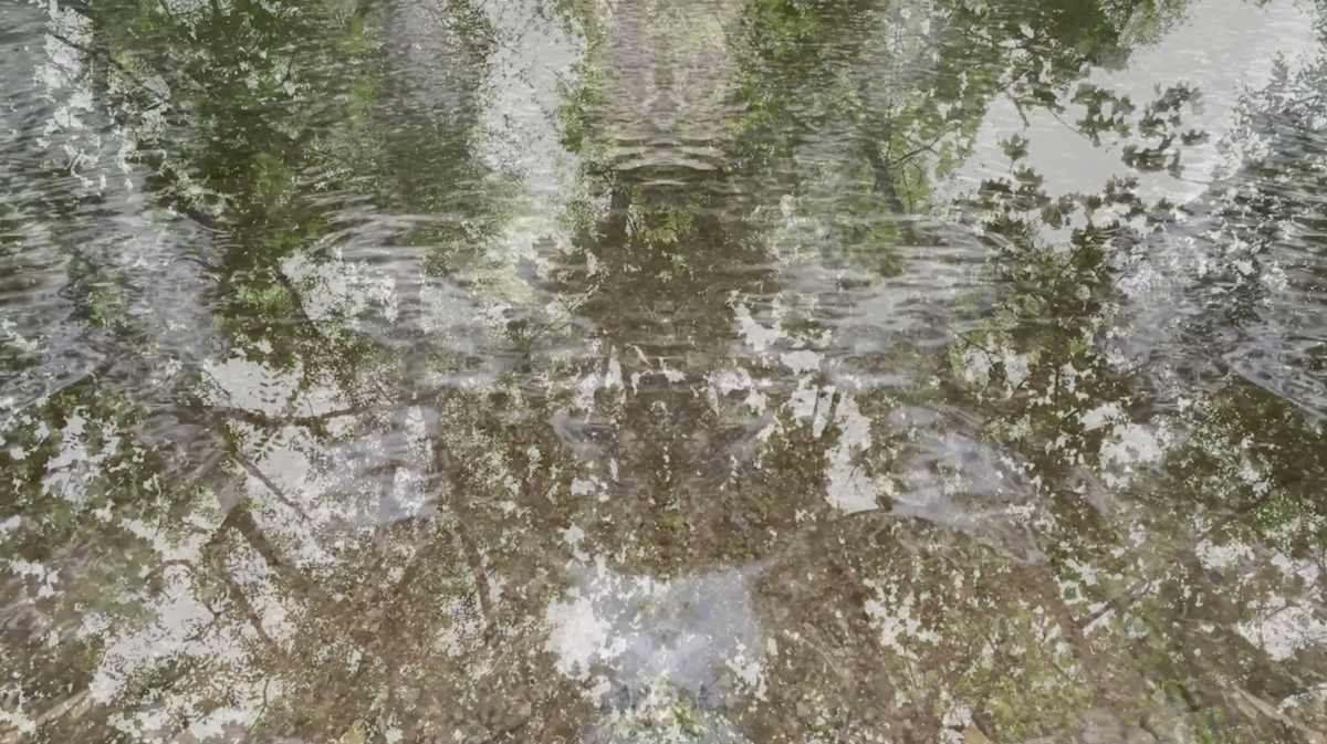 Low Ground, Shallow Water by Richard Gregory, Image 1.