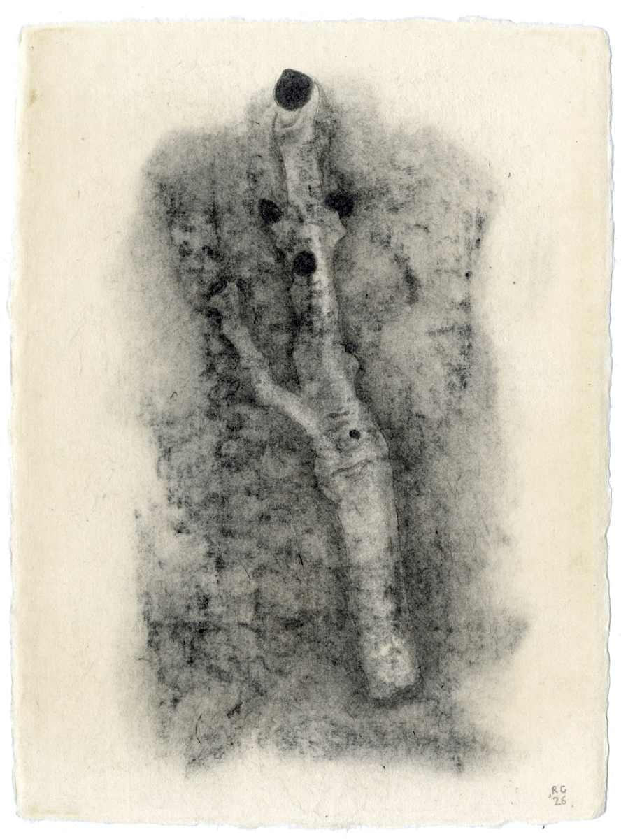 Dissipated Potential by Richard Gregory, Image 1.