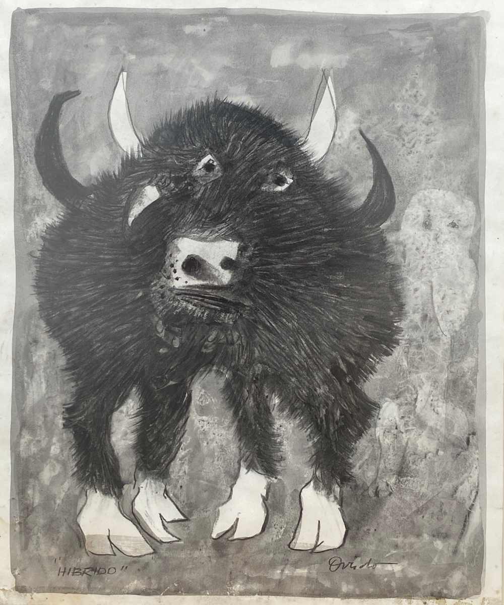 Híbrido by Ramón Oviedo 