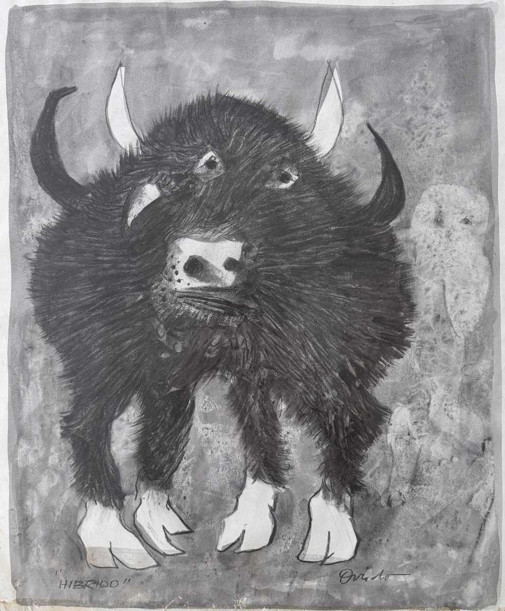Híbrido by Ramón Oviedo, Image 1.