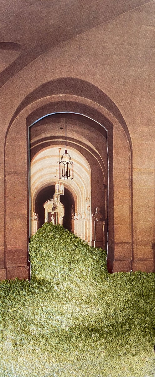 Strange Plants, Versailles by Heather Beardsley 