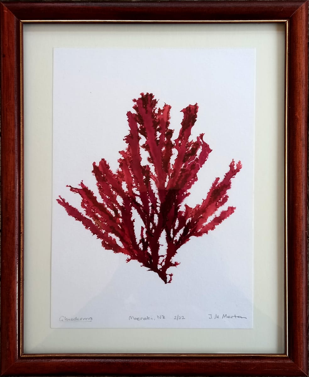 Gloioderma #2  Image: Gloioderma #2