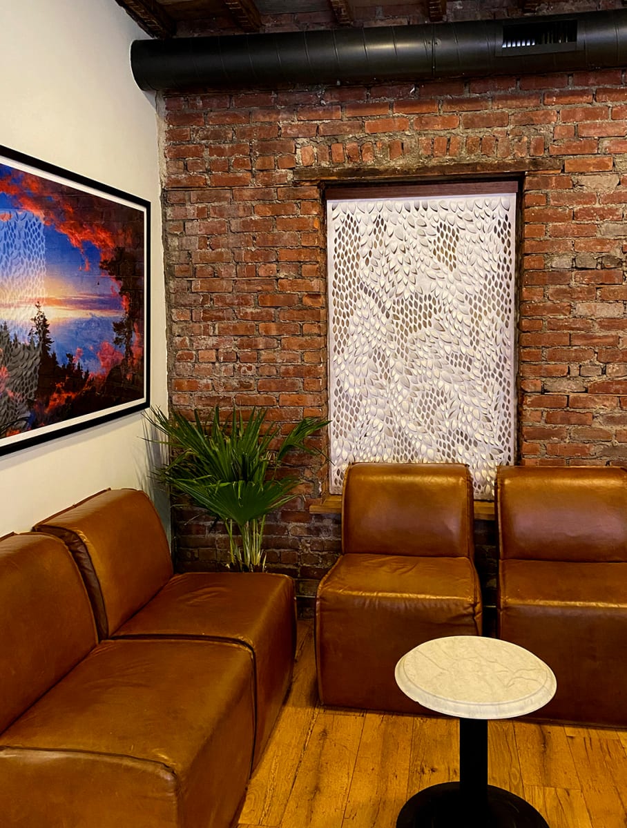 Ferns through Basalt ( scroll-edge) by Summer J. Hart 