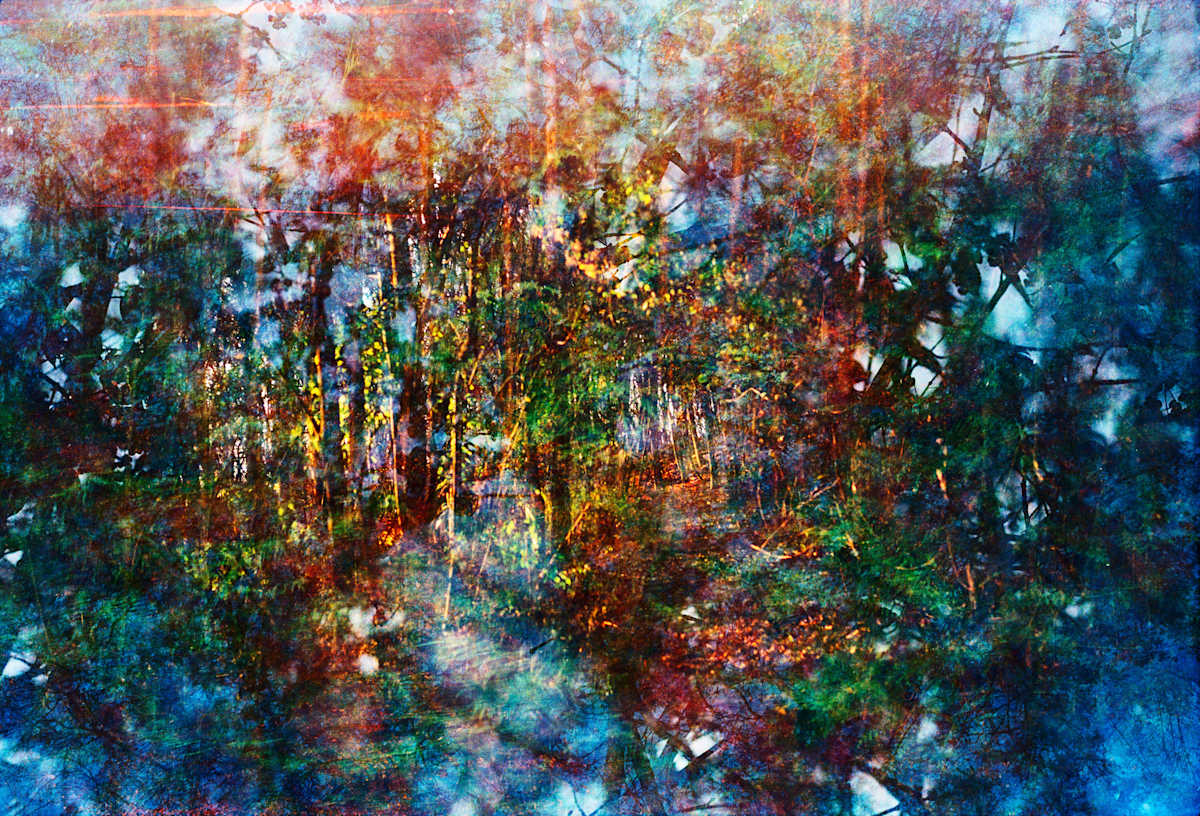 Grunewald by Nichole Velasquez, Image 1.