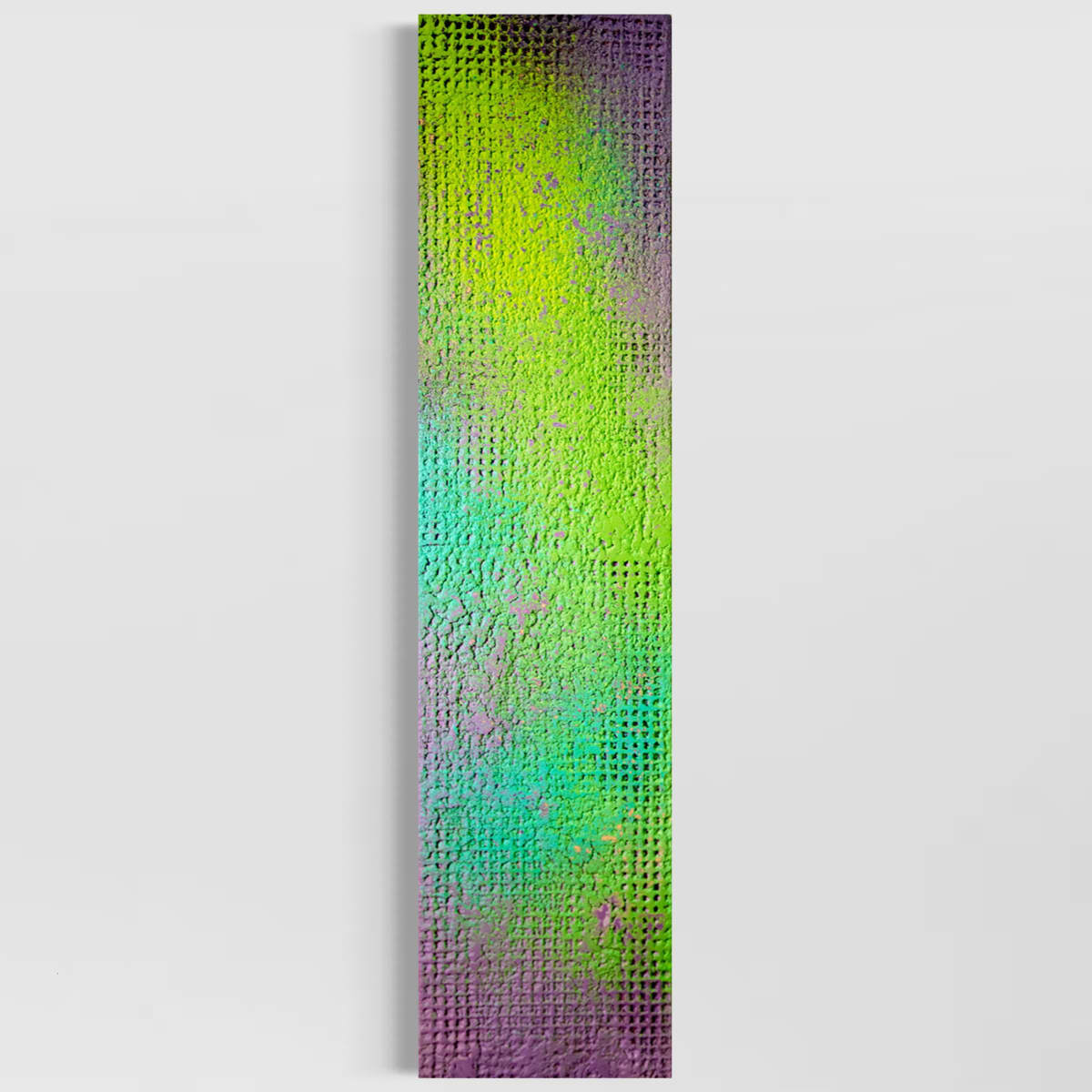 Aurora Borealis by Joel Blenz 