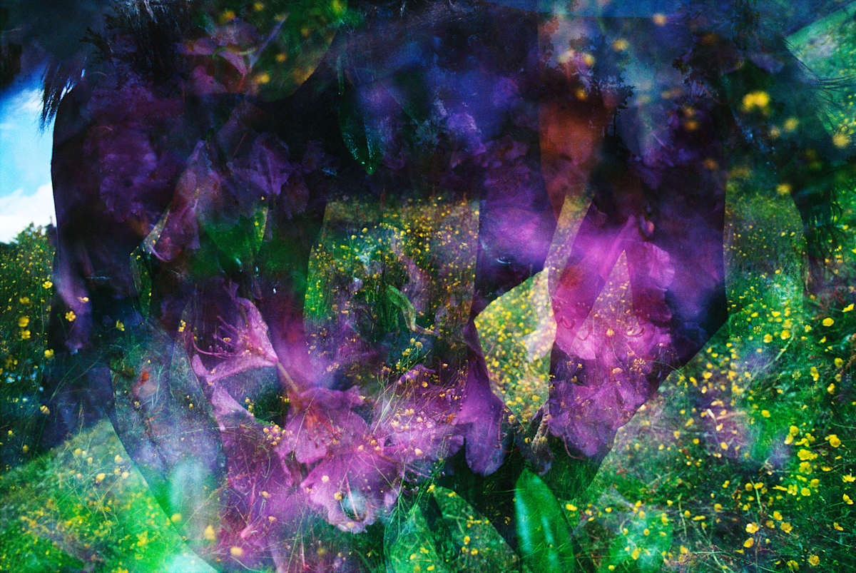 La Danse by Nichole Velasquez, Image 1.