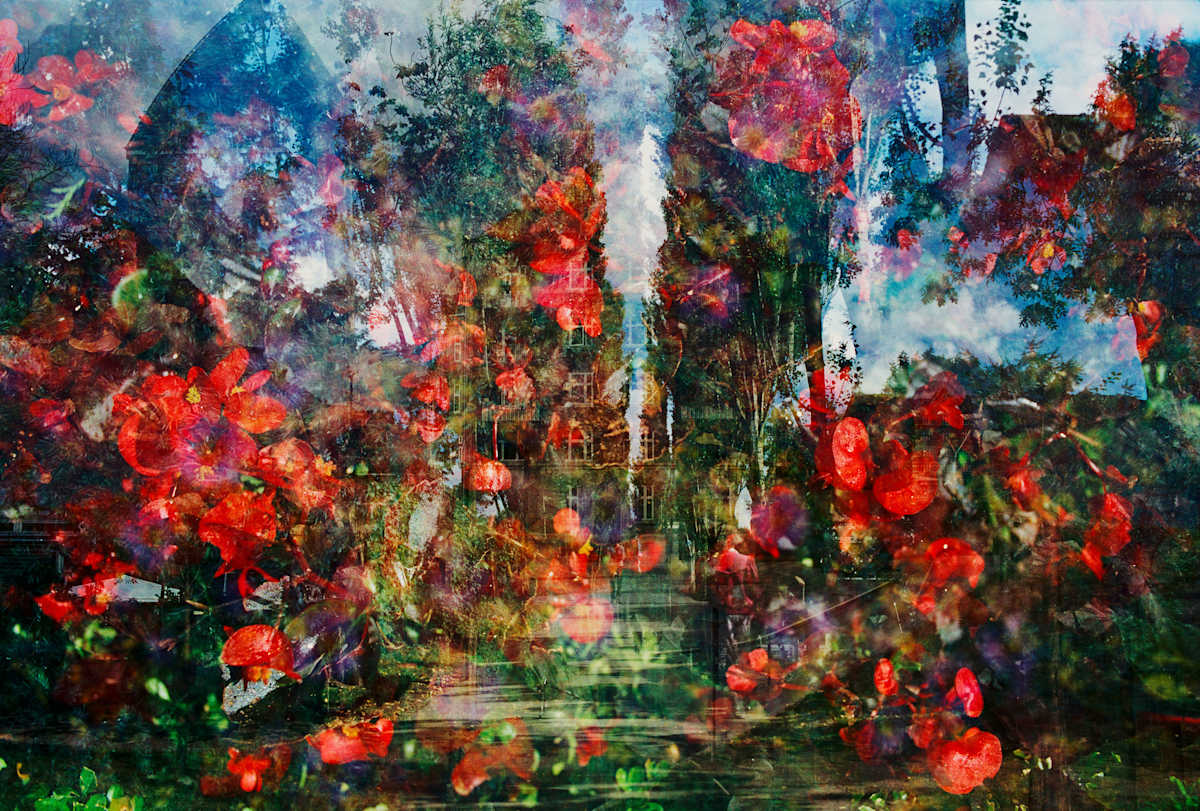 Poplar Avenue by Nichole Velasquez, Image 1.
