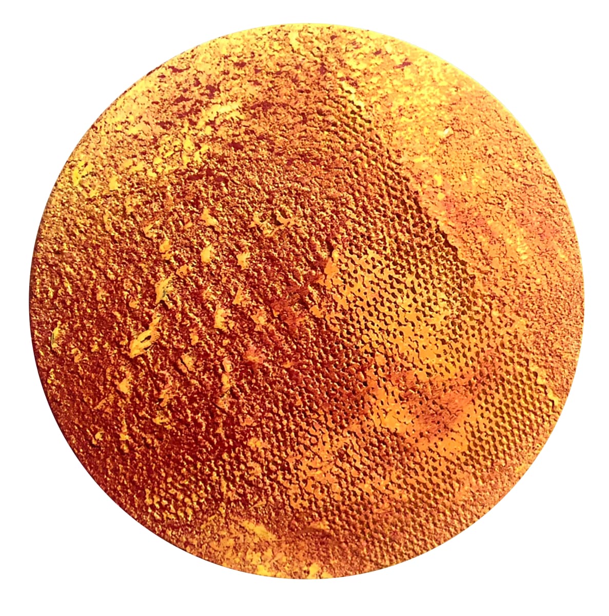 Sunburst by Joel Blenz, Image 3.