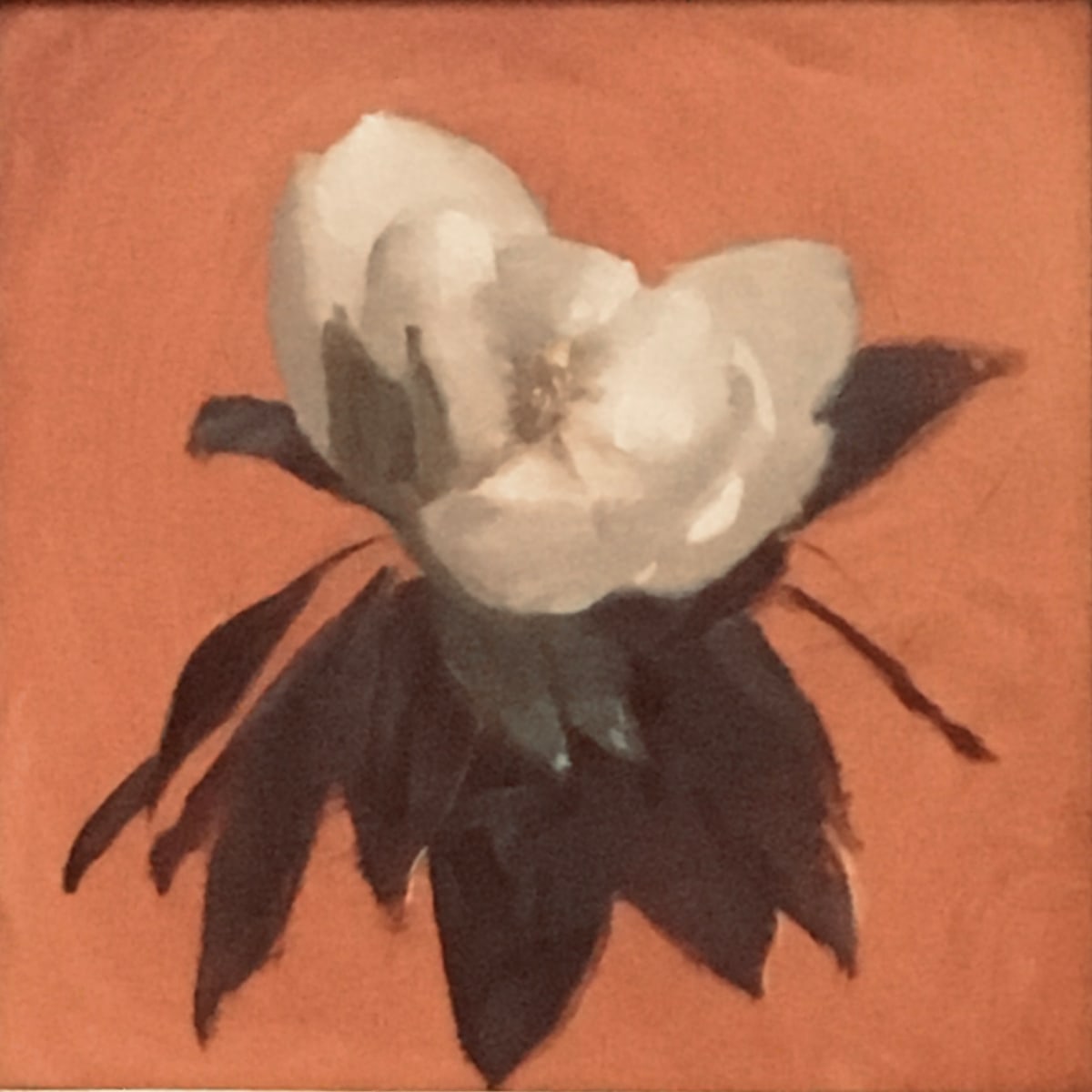 Magnolia, Opened by Sarah Griffin Thibodeaux, Image 2.