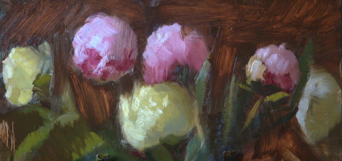 Peony Blossoms 