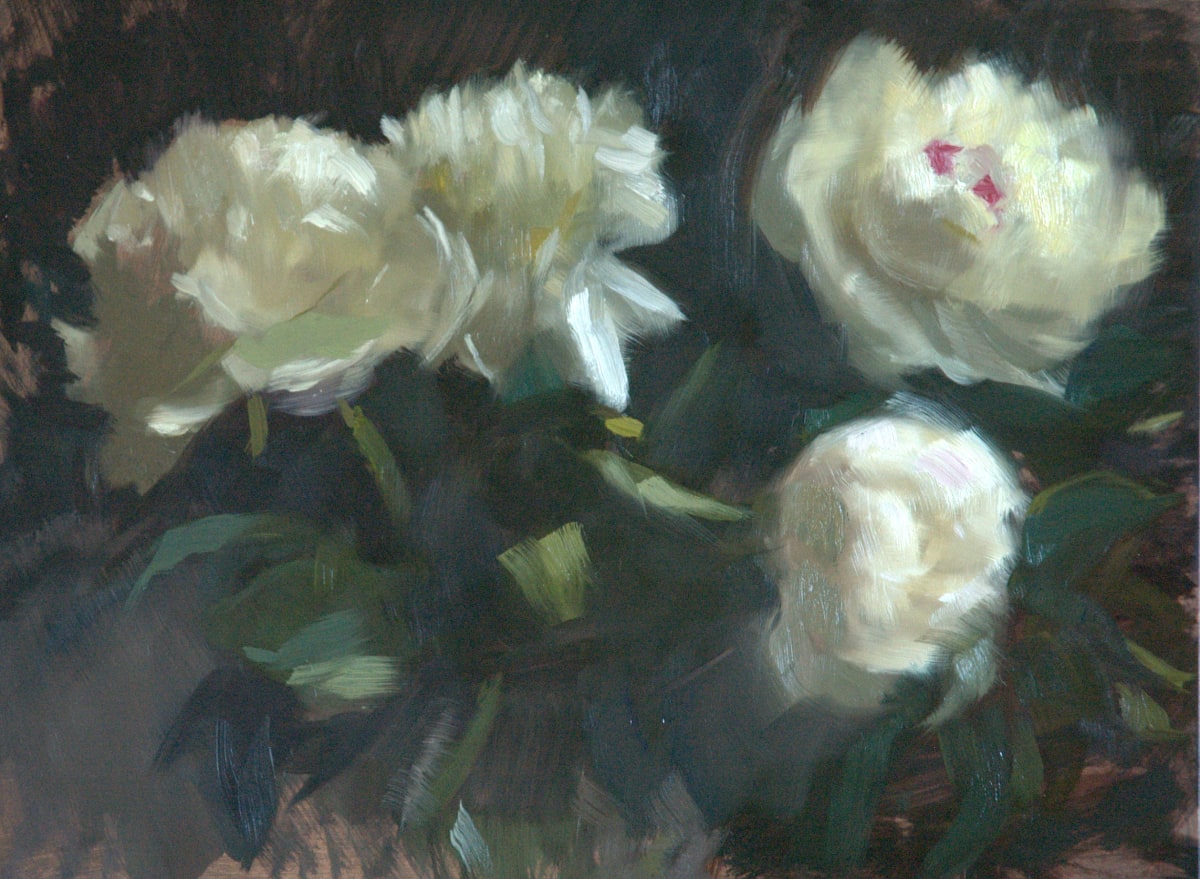 White Peonies by Sarah Griffin Thibodeaux 