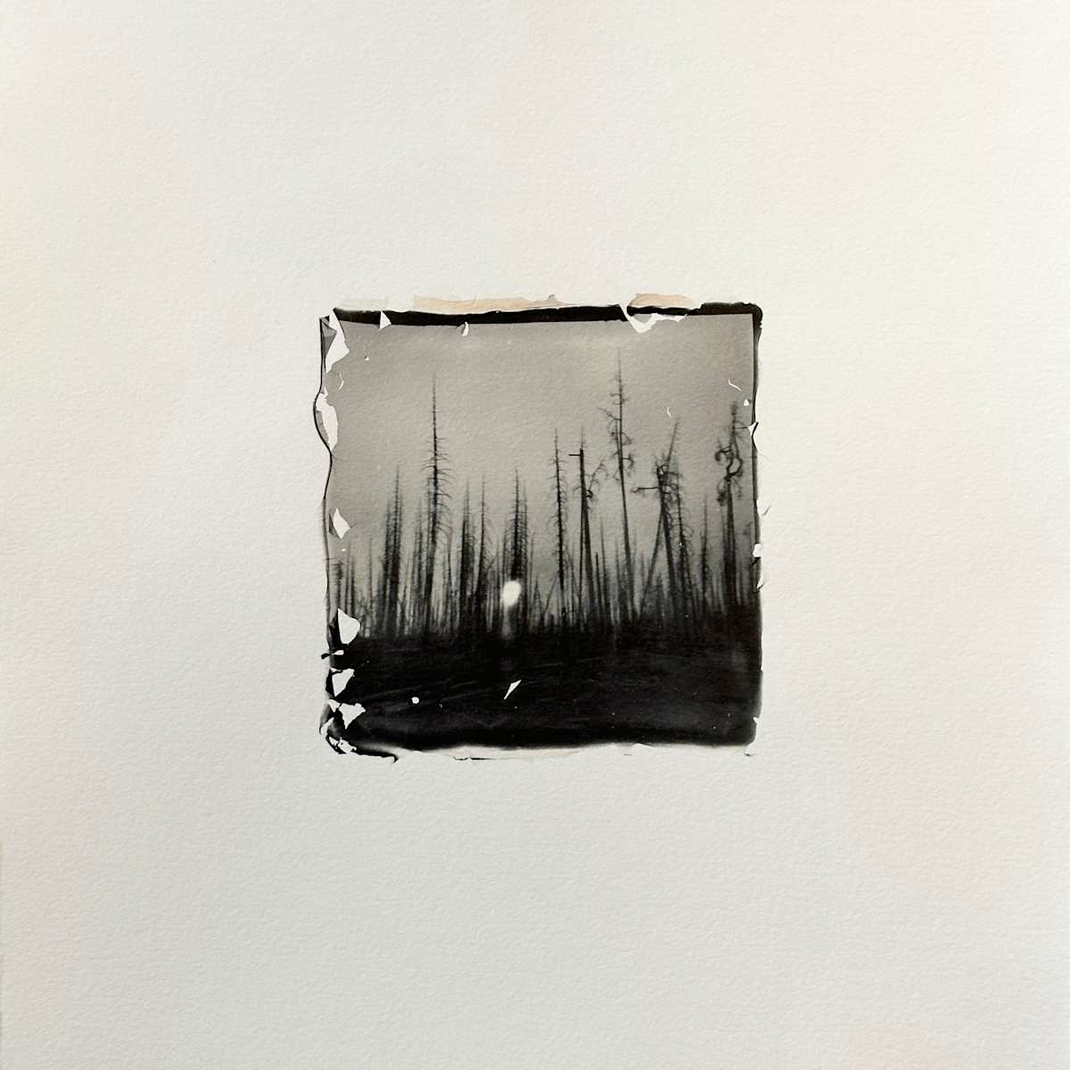 Rd 109 Jul27 9:12AM (smoke) by Michelle Robinson 