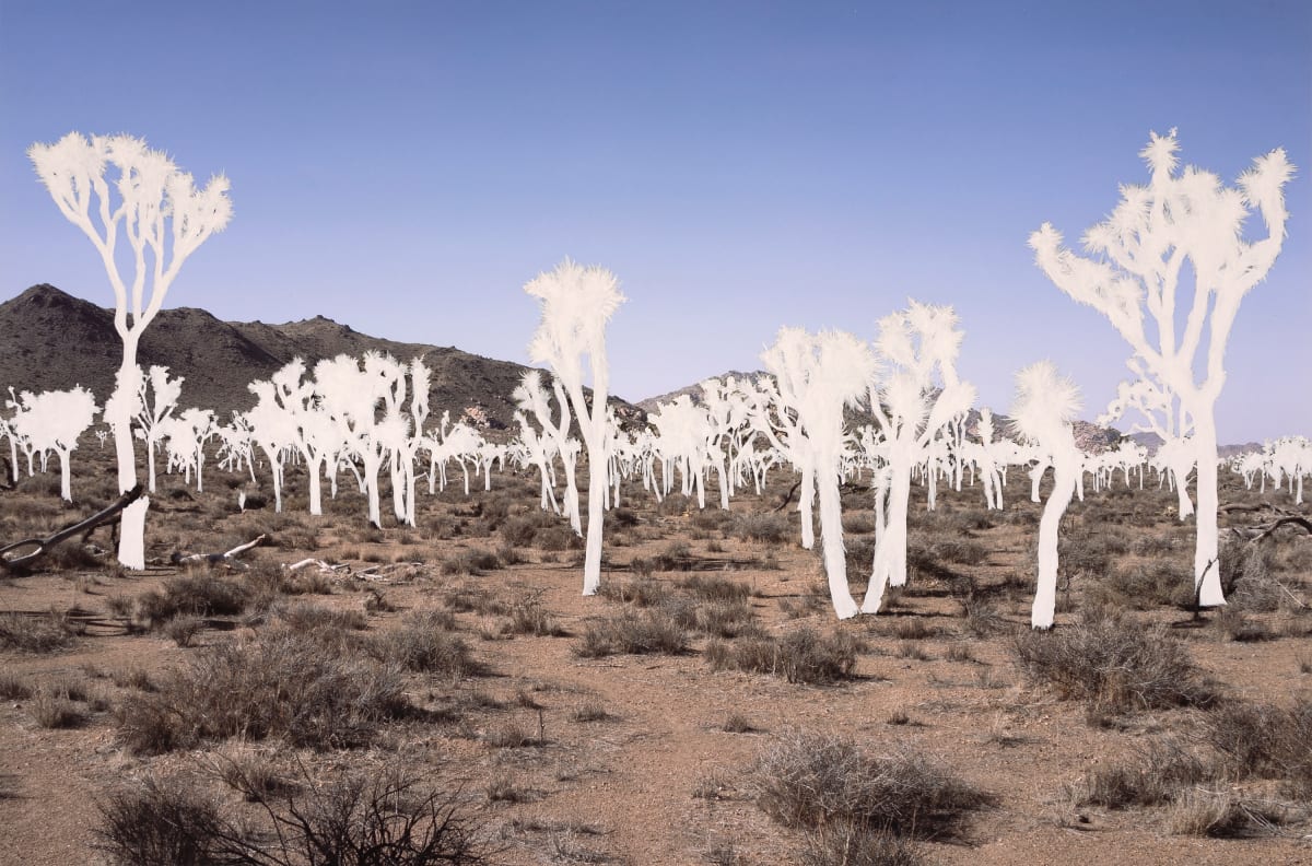 Ghosts by Michelle Robinson, Image 1.