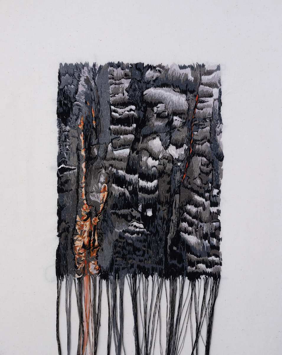 Skin (third degree) by Michelle Robinson 