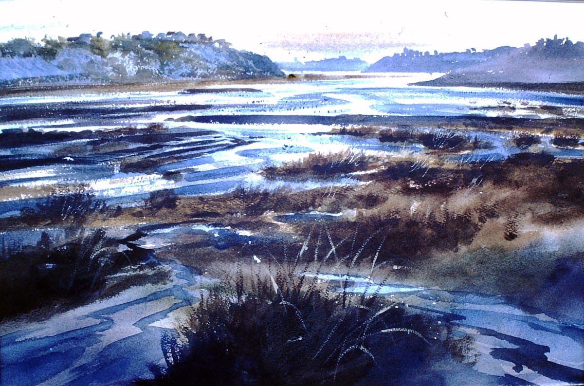 Untitled: Back Bay Wetlands 