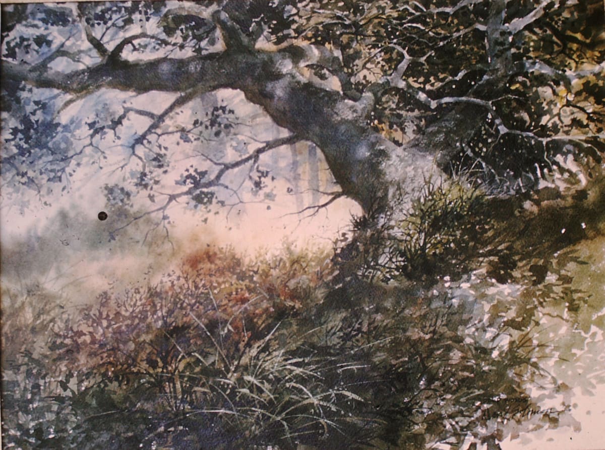 Untitled: Oak Tree 