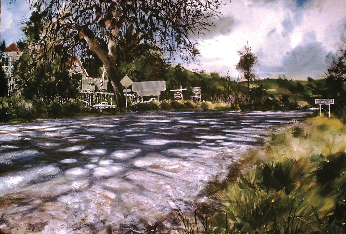 Untitled: Carpinteria Tree with Shadow 