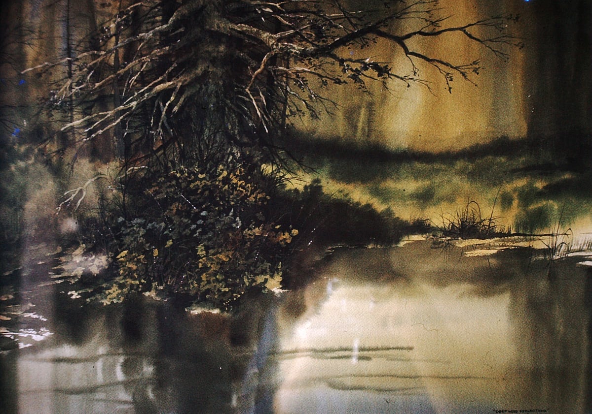 Deep Woods Reflections 