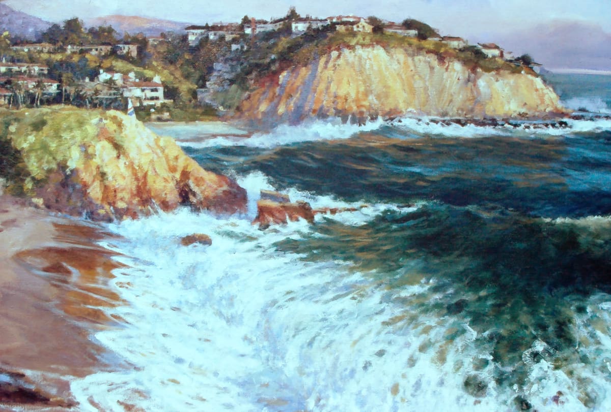 Irvine Cove by David Solomon 