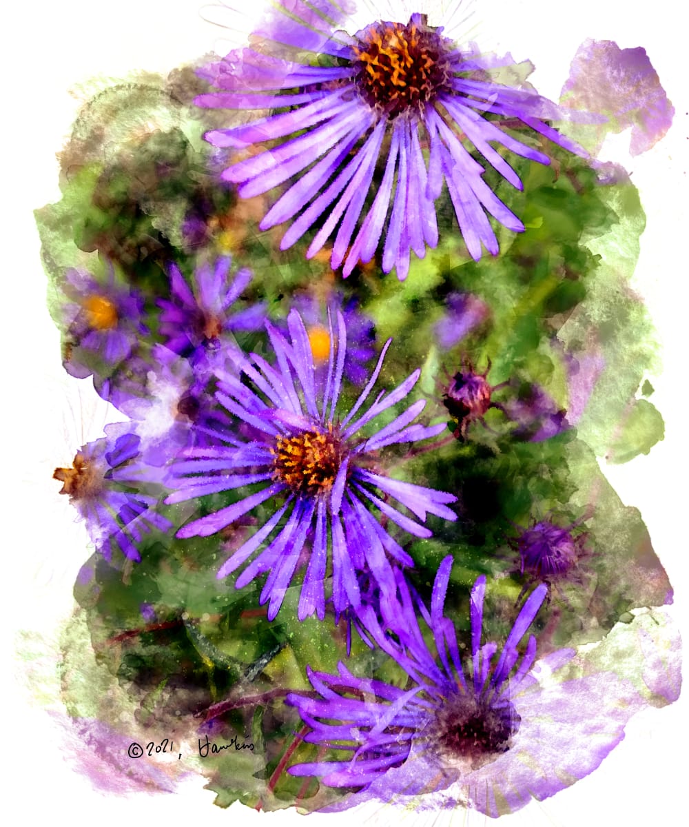 Purple Asters  Image: Purple Asters; reference photo by Karen LeClair