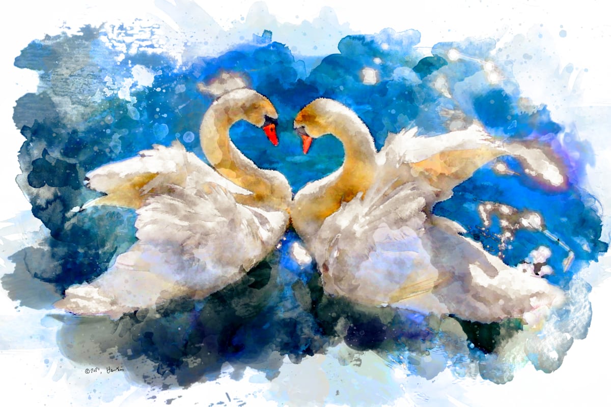 Two Swans  Image: Two Swans facing each other in the water; reference photo by Gunner Poulsen