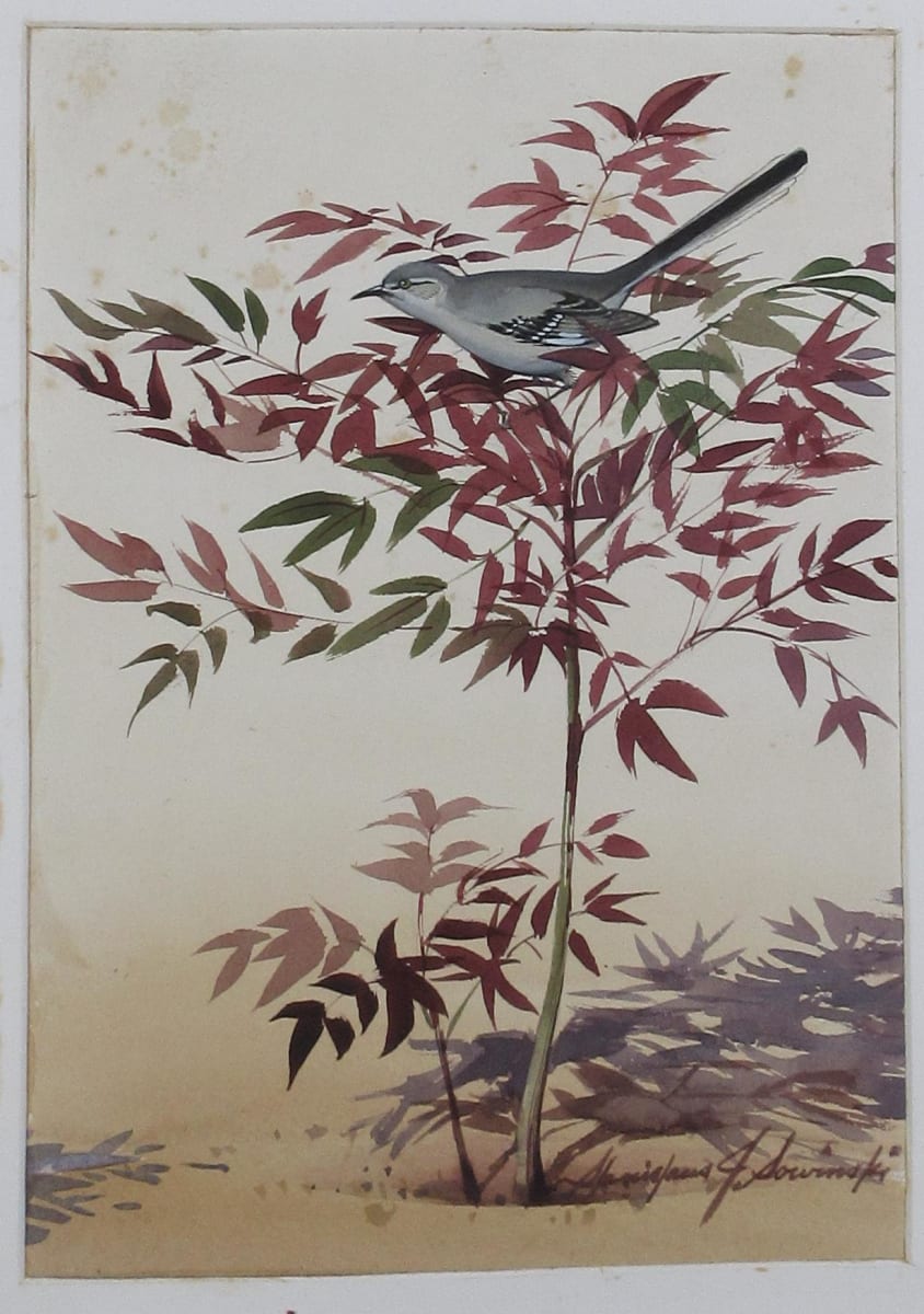 Mockingbird in the Nandina - Front by Stanislaus Sowinski, Image 1.