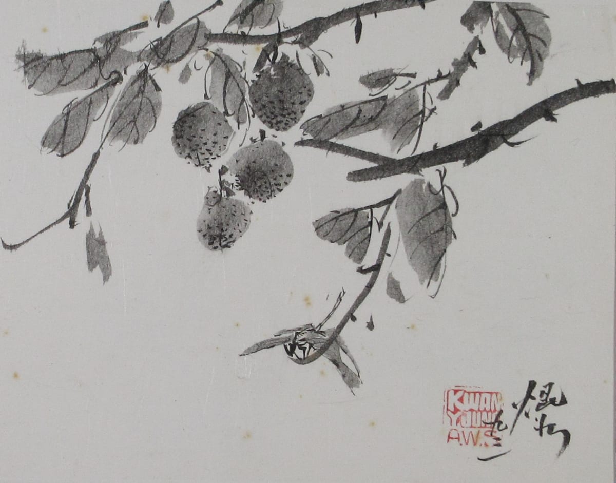 Lichee and Dragonfly by Kwan Y. Jung, Image 1.