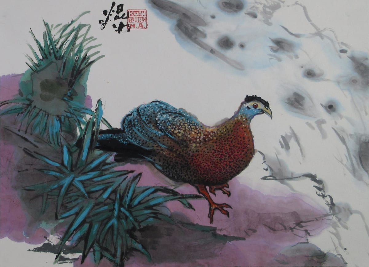 Malay Argus Pheasant by Kwan Y. Jung, Image 1.