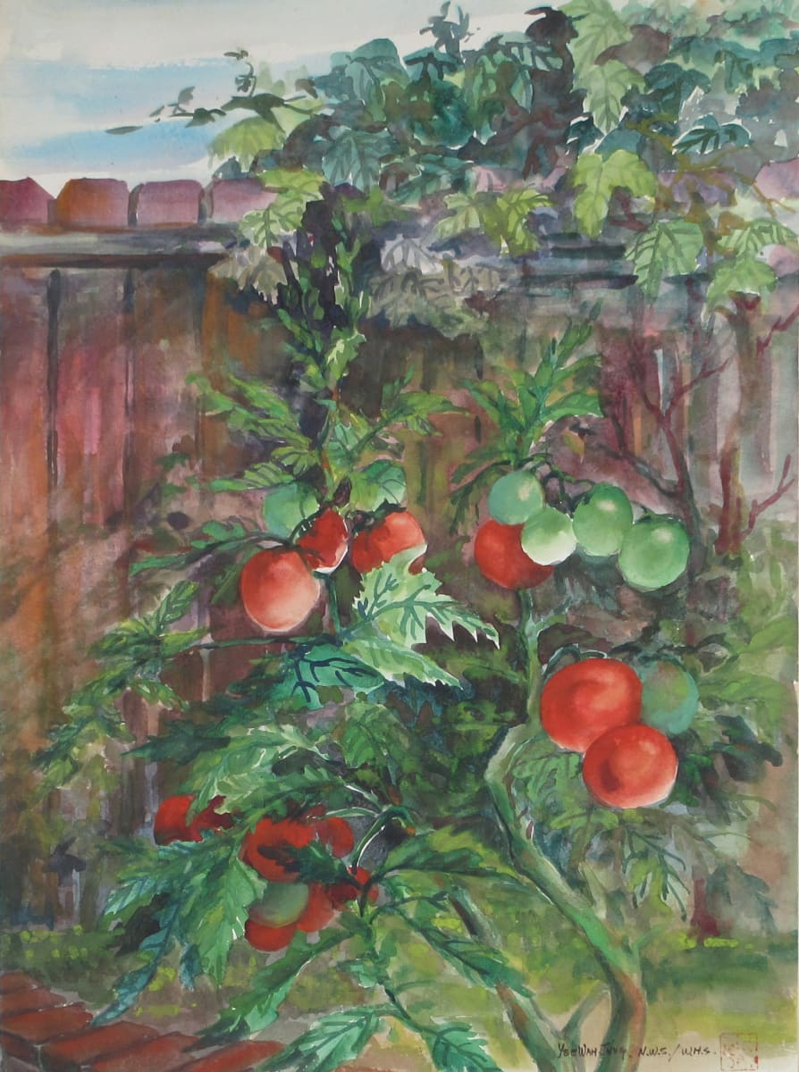 The Garden Tomatoes by Yee Wah Jung 