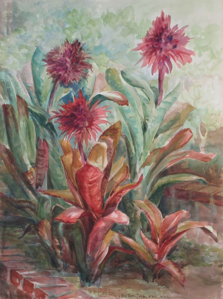 Bromeliads by Yee Wah Jung 