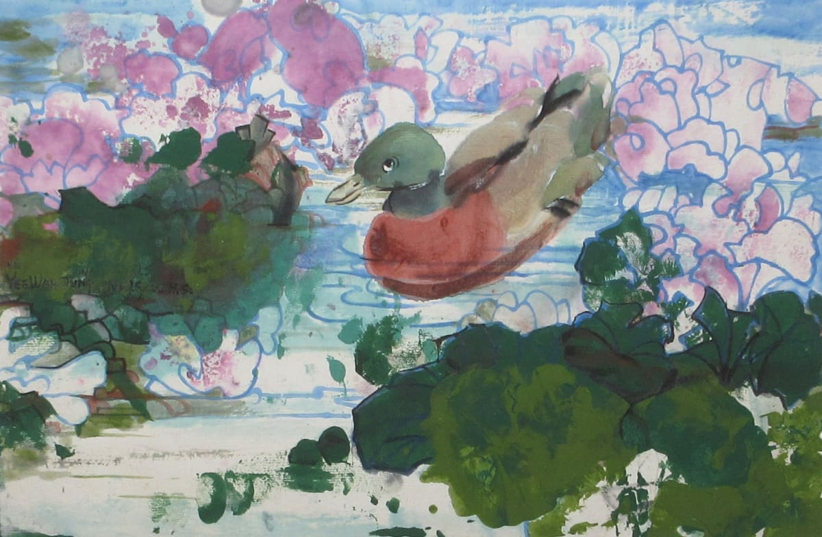 Drake Swimming in Water Blossums (Balboa Park) by Yee Wah Jung 