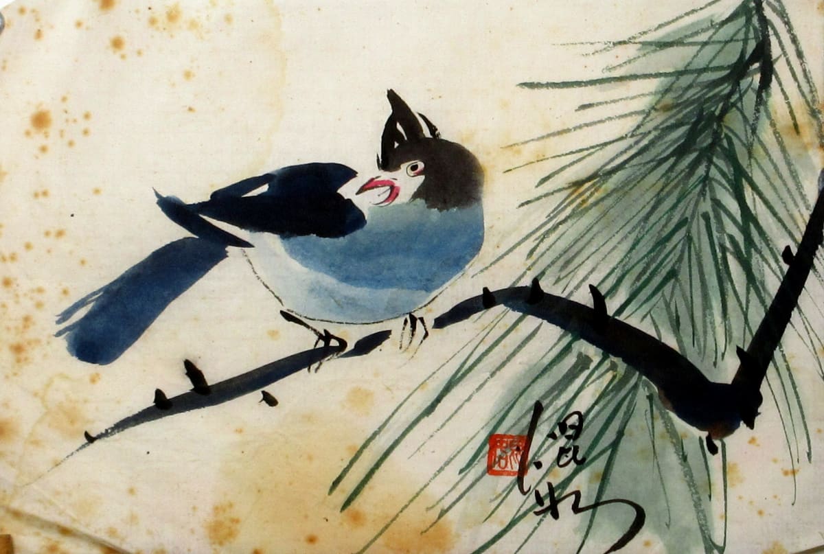 Blue Jay by Kwan Y. Jung 