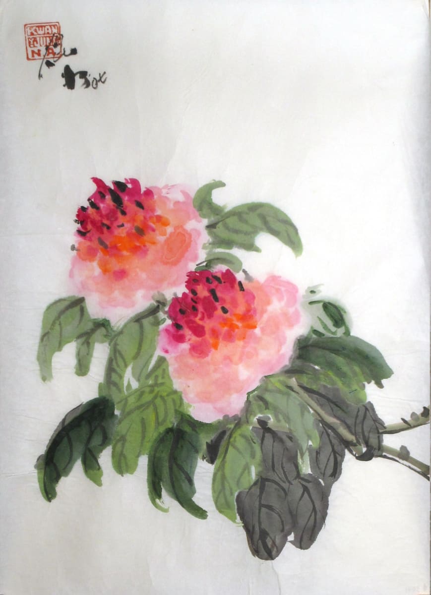 Peony by Kwan Y. Jung 