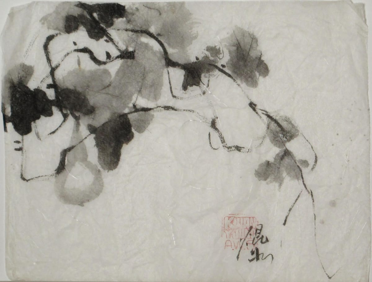 Squash Plant by Kwan Y. Jung, Image 1.