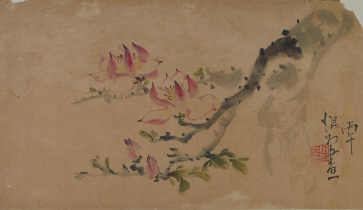 Magnolia Blossoms by Kwan Y. Jung 