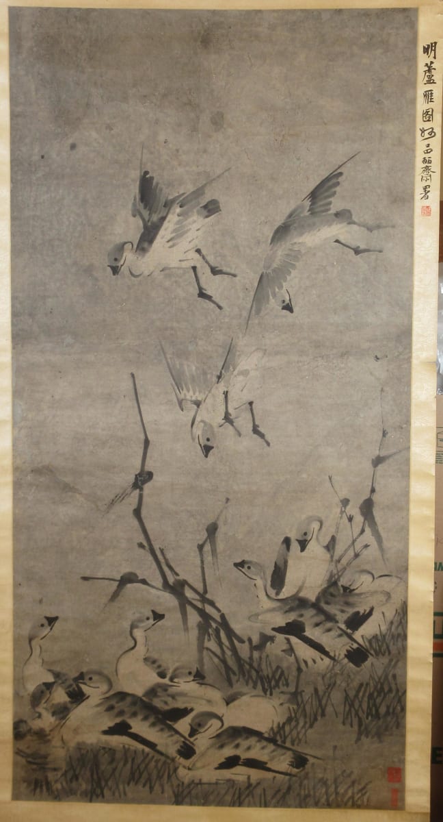 Twelve Waterfowl by Not Identified 