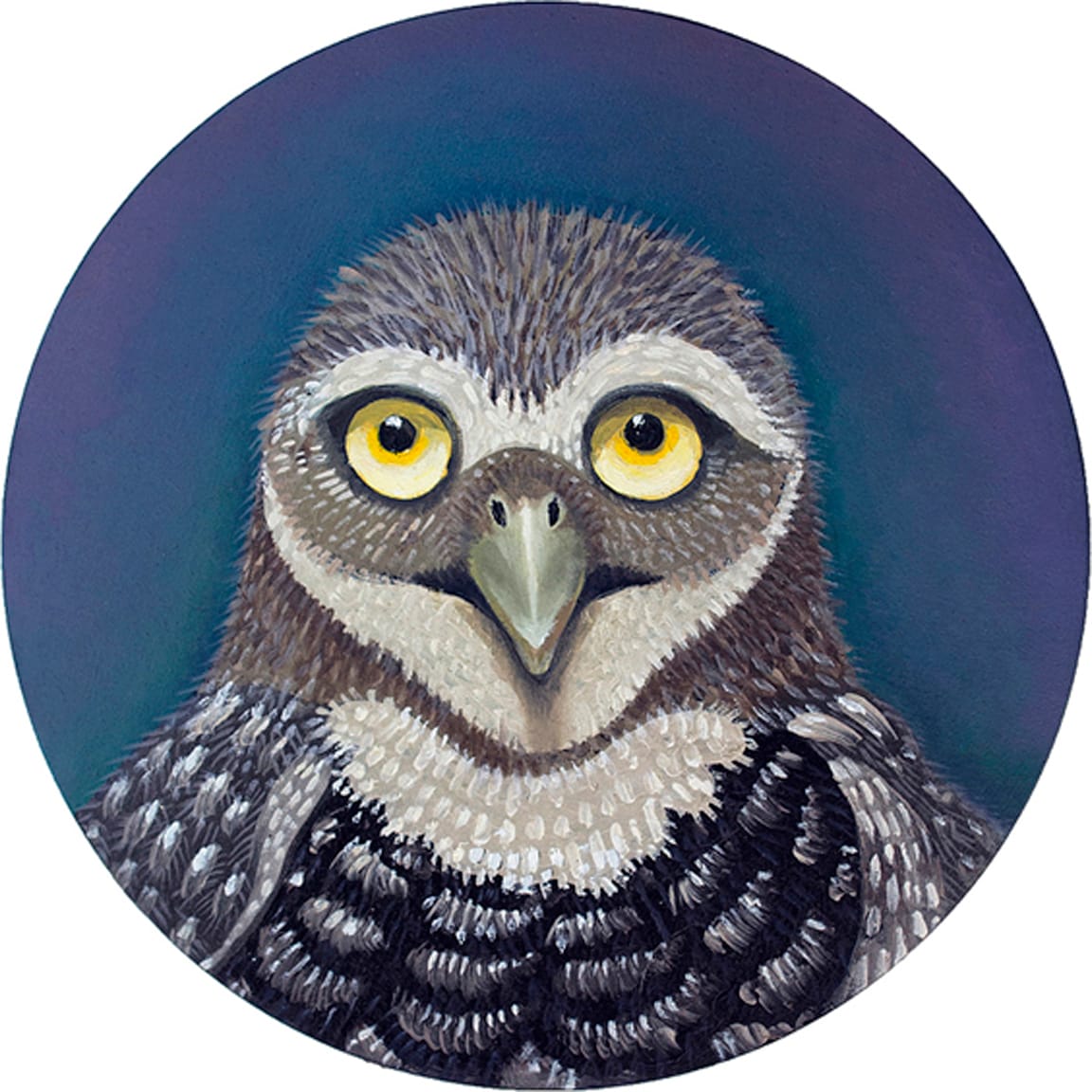 Burrowing Owl by Sarah Stone  Image: Burrowing Owl