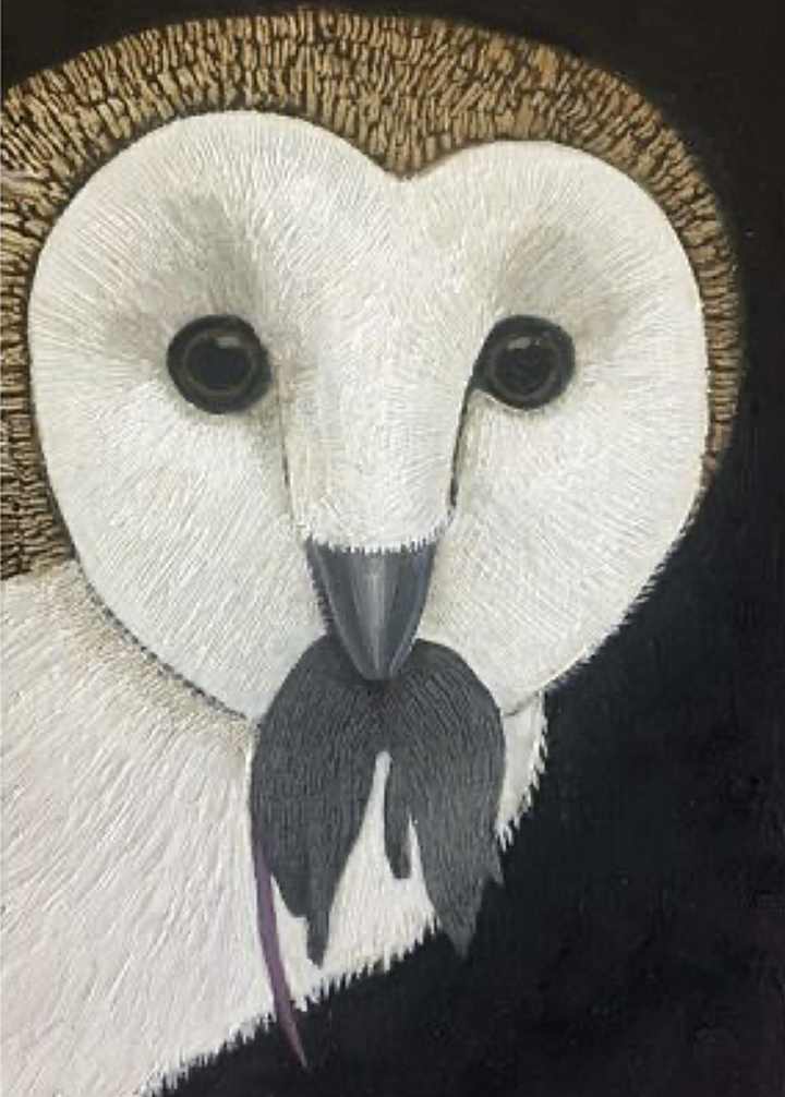 Barn Owl with Mouse by Sarah Stone  Image: Barn Owl with Mouse