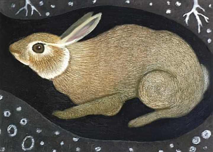 Burrow by Sarah Stone  Image: Burrow