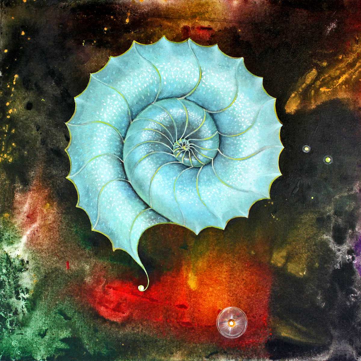 Spiral by Sarah Stone  Image: Spiral