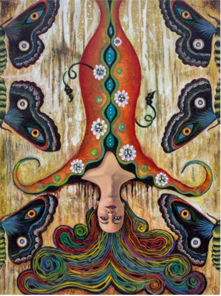Mariposa by Sarah Stone  Image: Mariposa