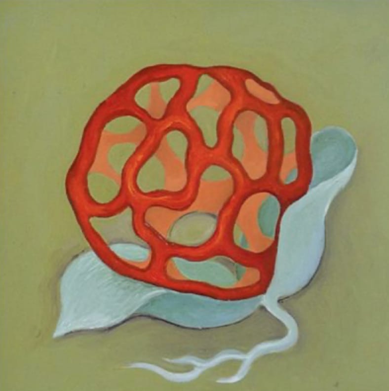 Red Cage by Sarah Stone  Image: Red Cage