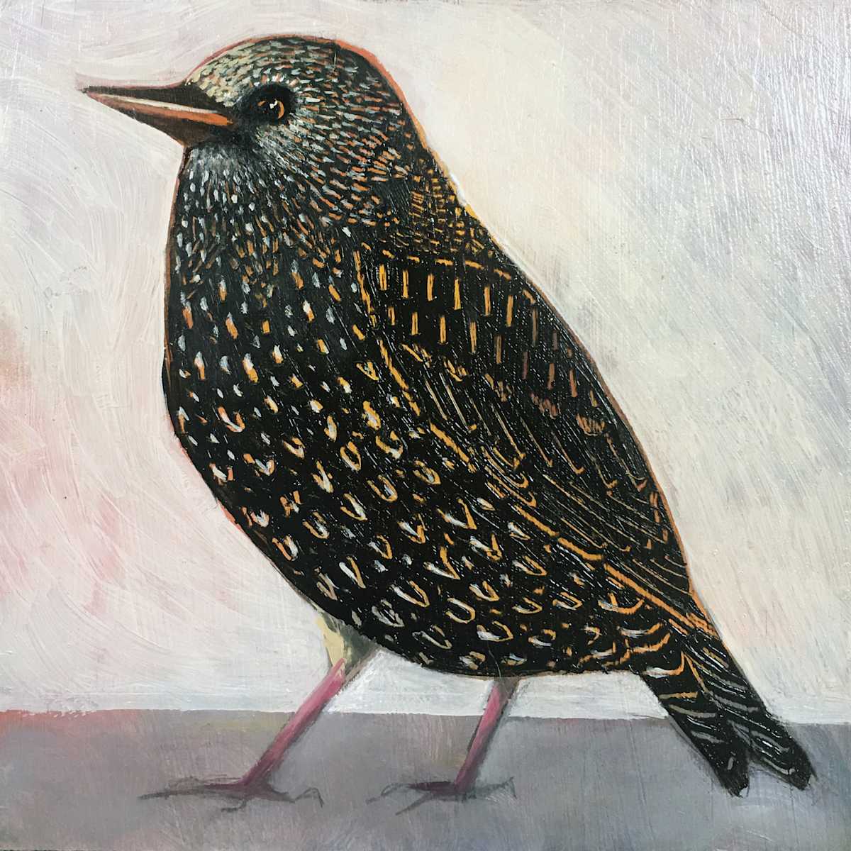 Starling (2) by Sarah Stone  Image: Starling (2) 
