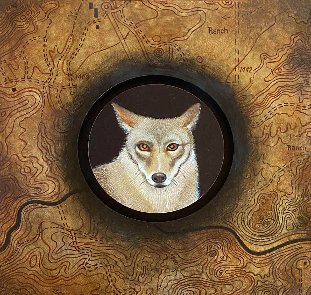 Coyote Land by Sarah Stone, Image 1.