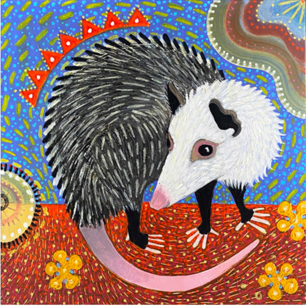 Opossum by Sarah Stone  Image: Opossum