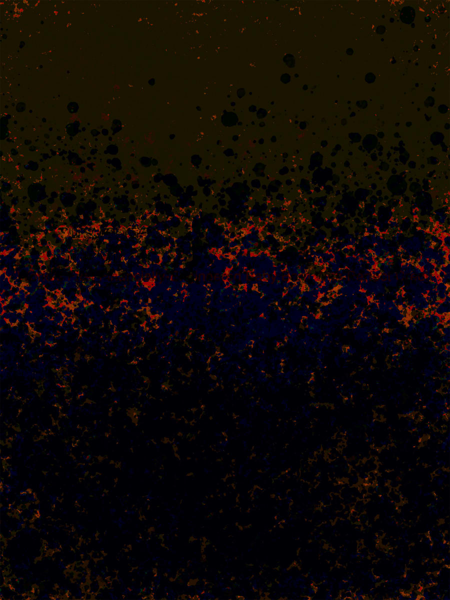Fortunate Son by Chris Horner, Image 1.