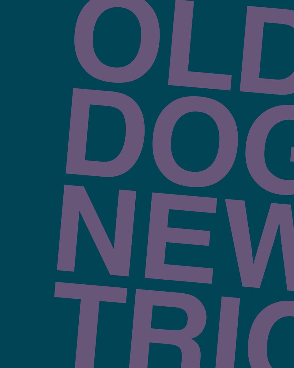 OLD DOG NEW TRICK by Chris Horner 
