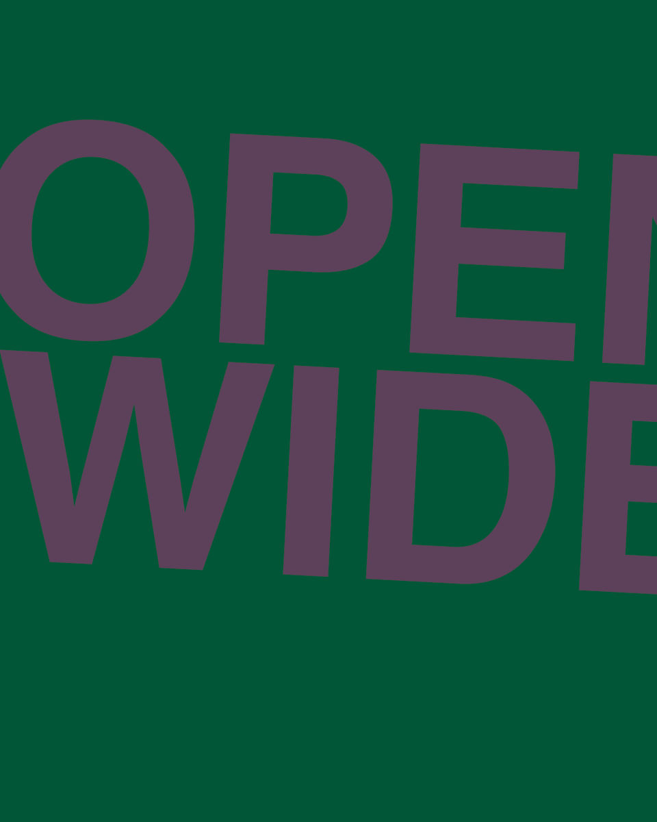 OPEN WIDE by Chris Horner, Image 4.